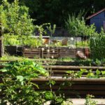 Beitragsbild Schrebergärten