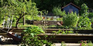 Beitragsbild Schrebergärten